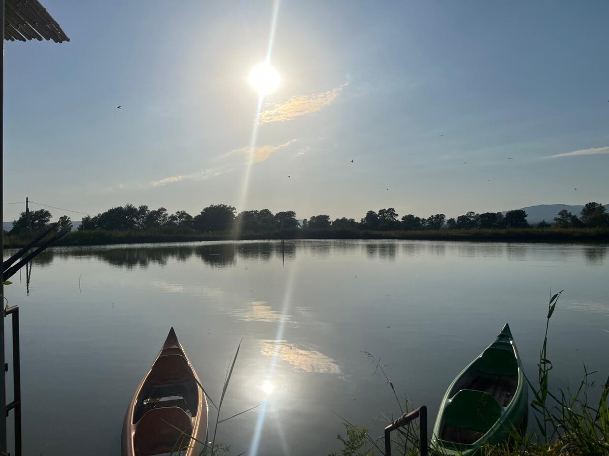 Lakeside nature